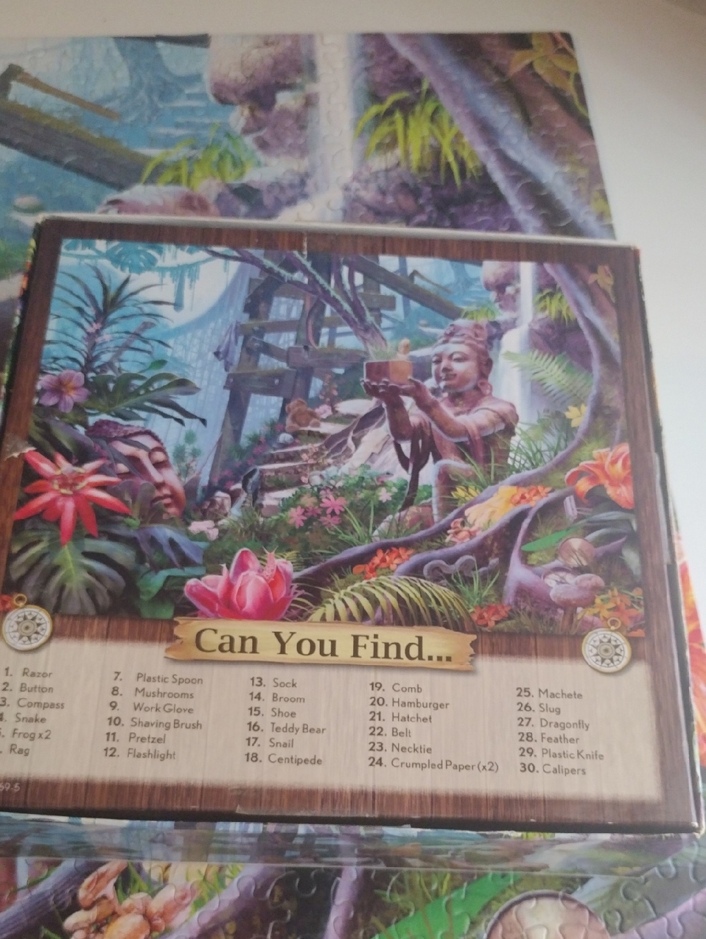 Smithsonian Puzzle - Picture 6 of 7